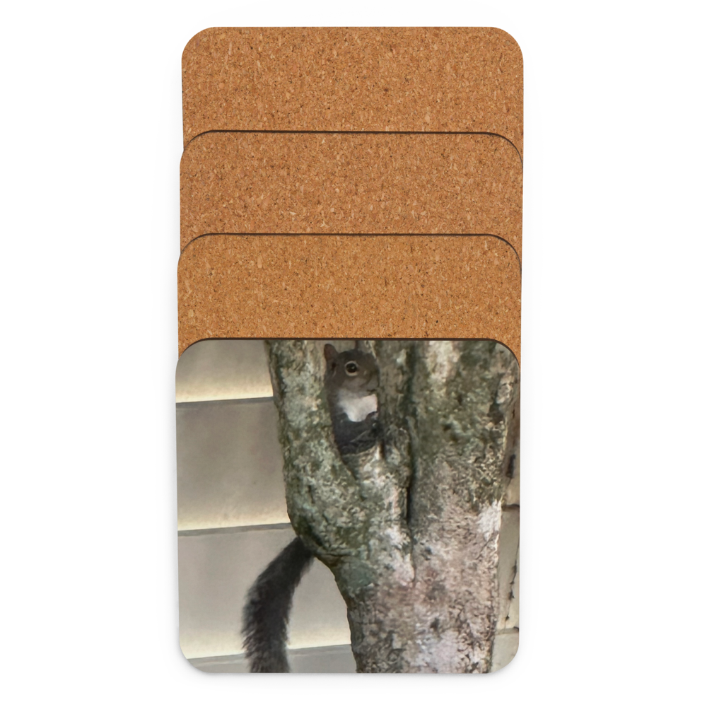 Cork-back coaster - Peek A Boo Squirrel