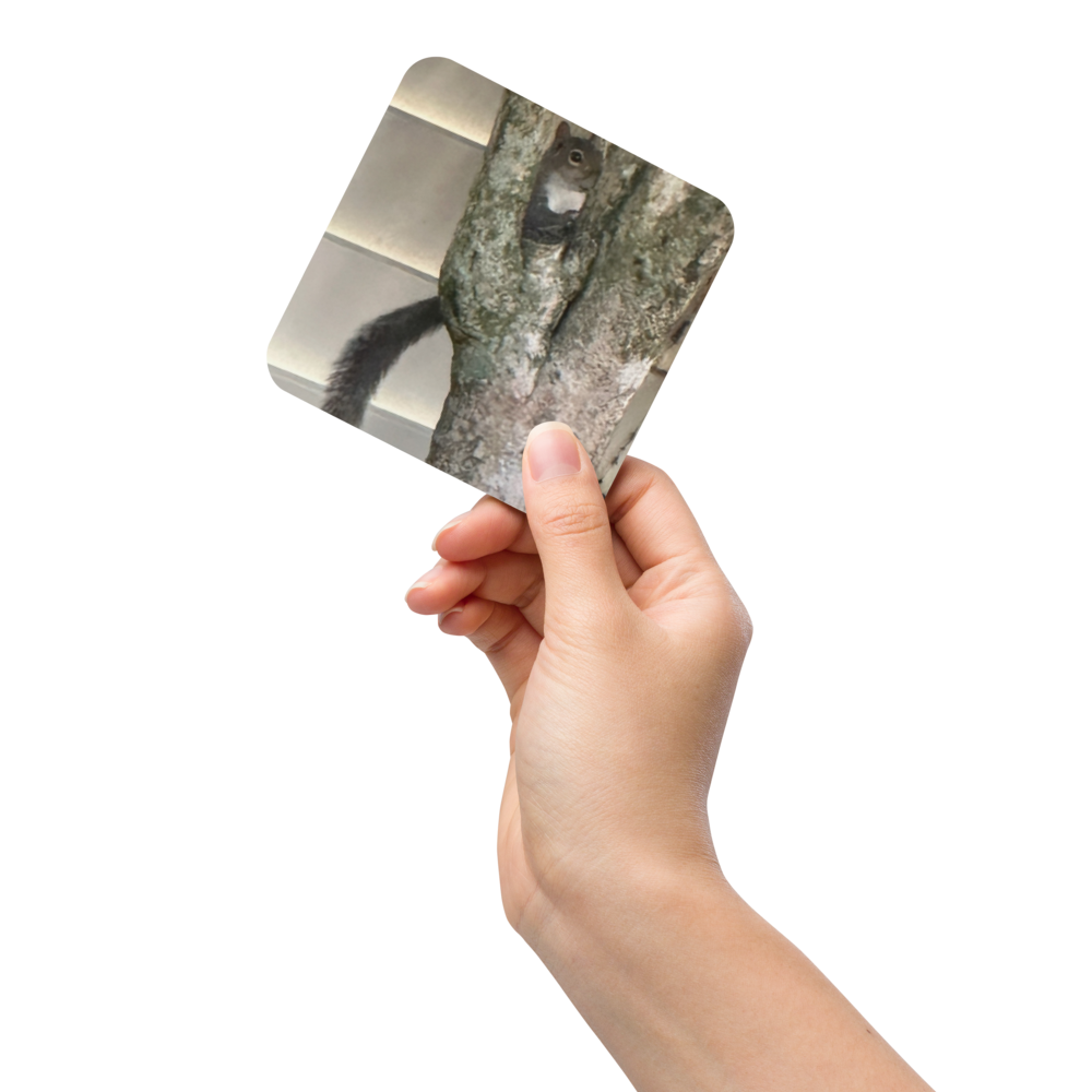 Cork-back coaster - Peek A Boo Squirrel