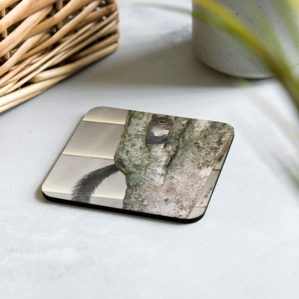 Cork-back coaster - Peek A Boo Squirrel