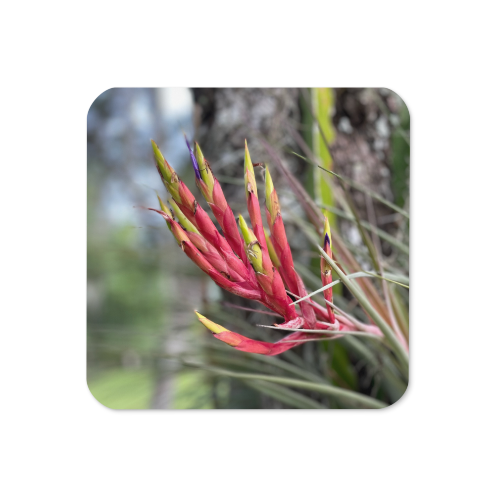 Cork-back coaster - Cardinal Airplant