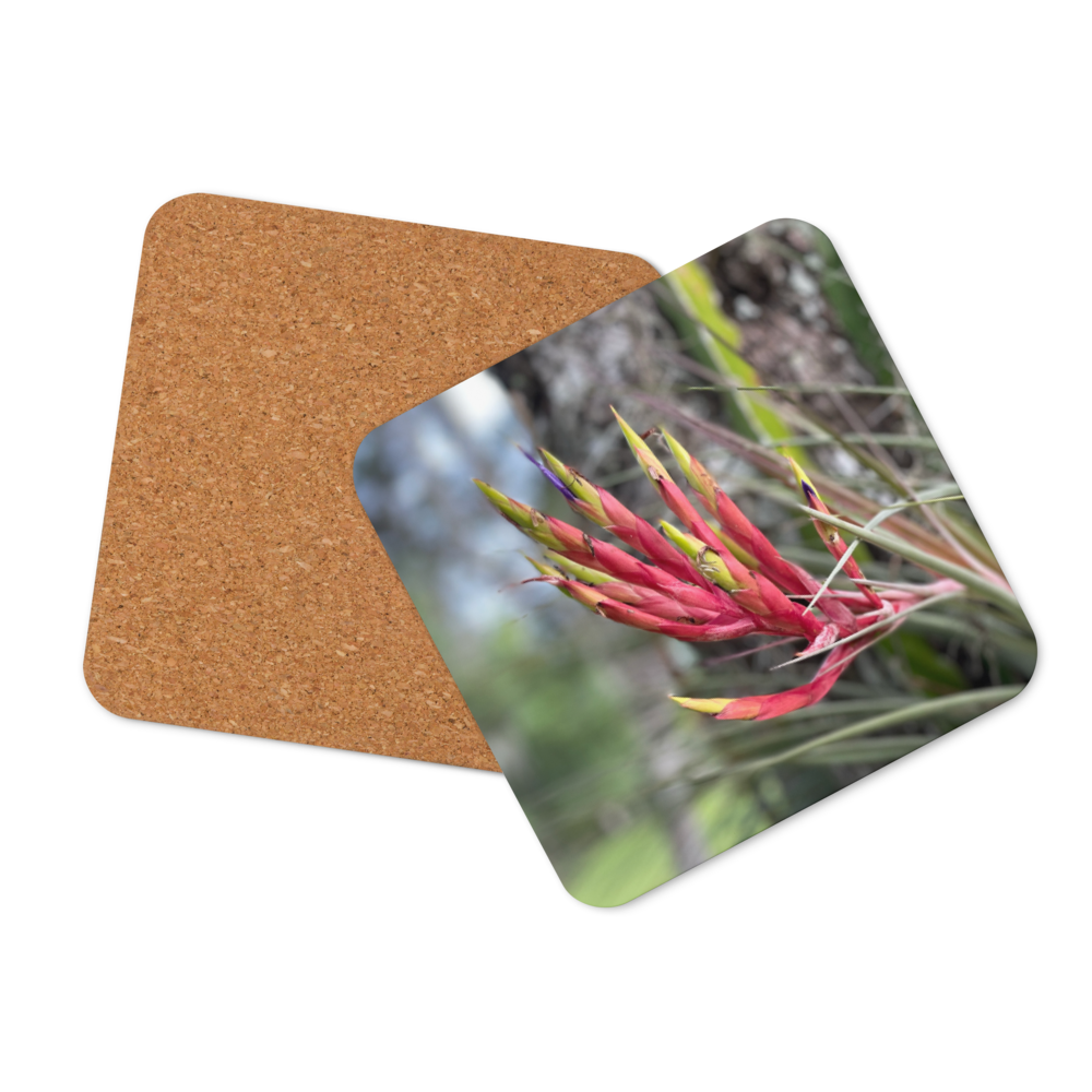 Cork-back coaster - Cardinal Airplant