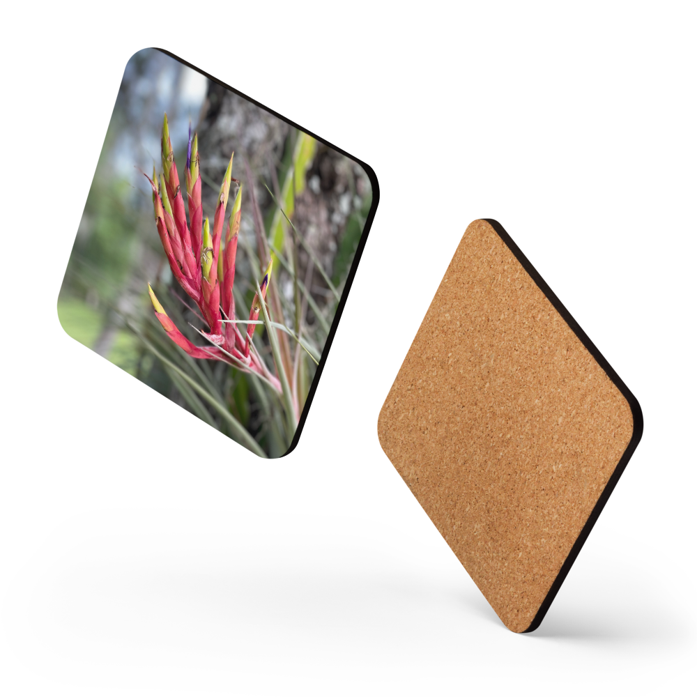 Cork-back coaster - Cardinal Airplant