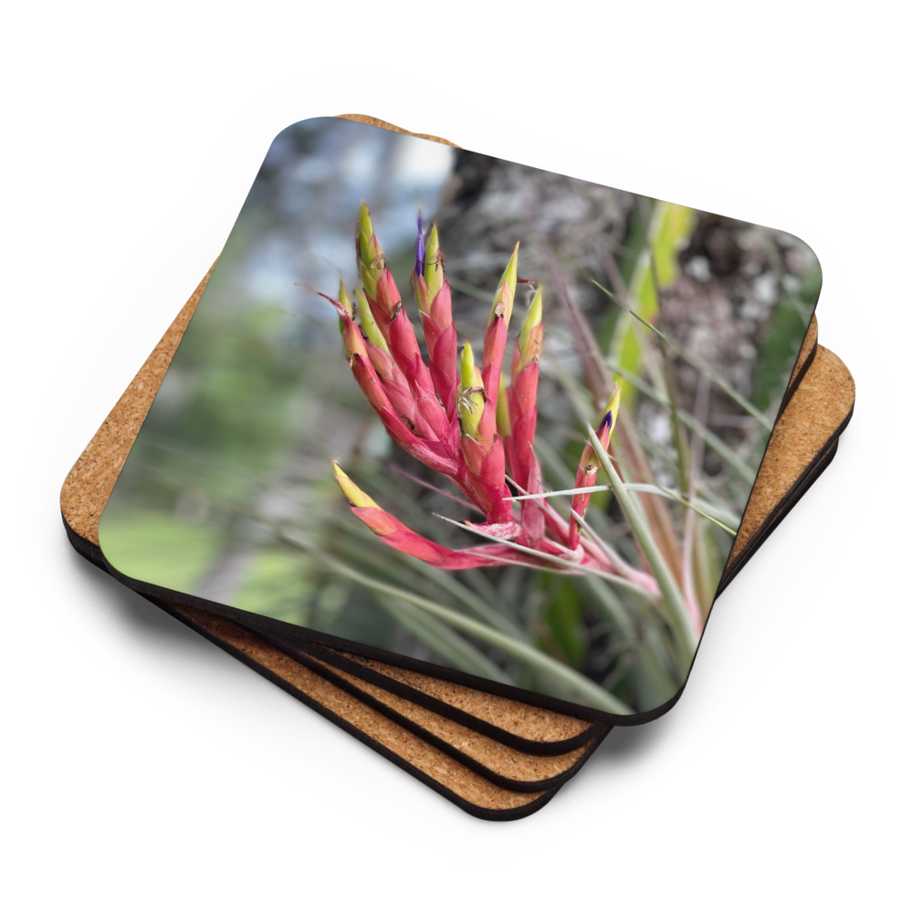 Cork-back coaster - Cardinal Airplant