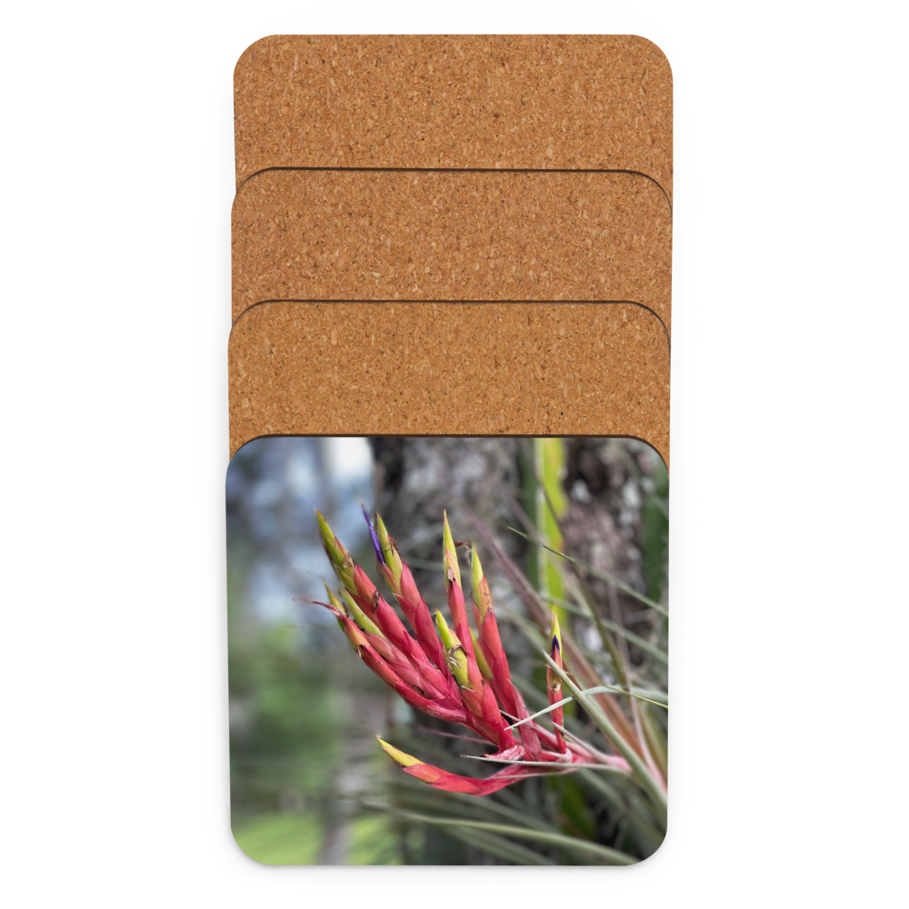 Cork-back coaster - Cardinal Airplant
