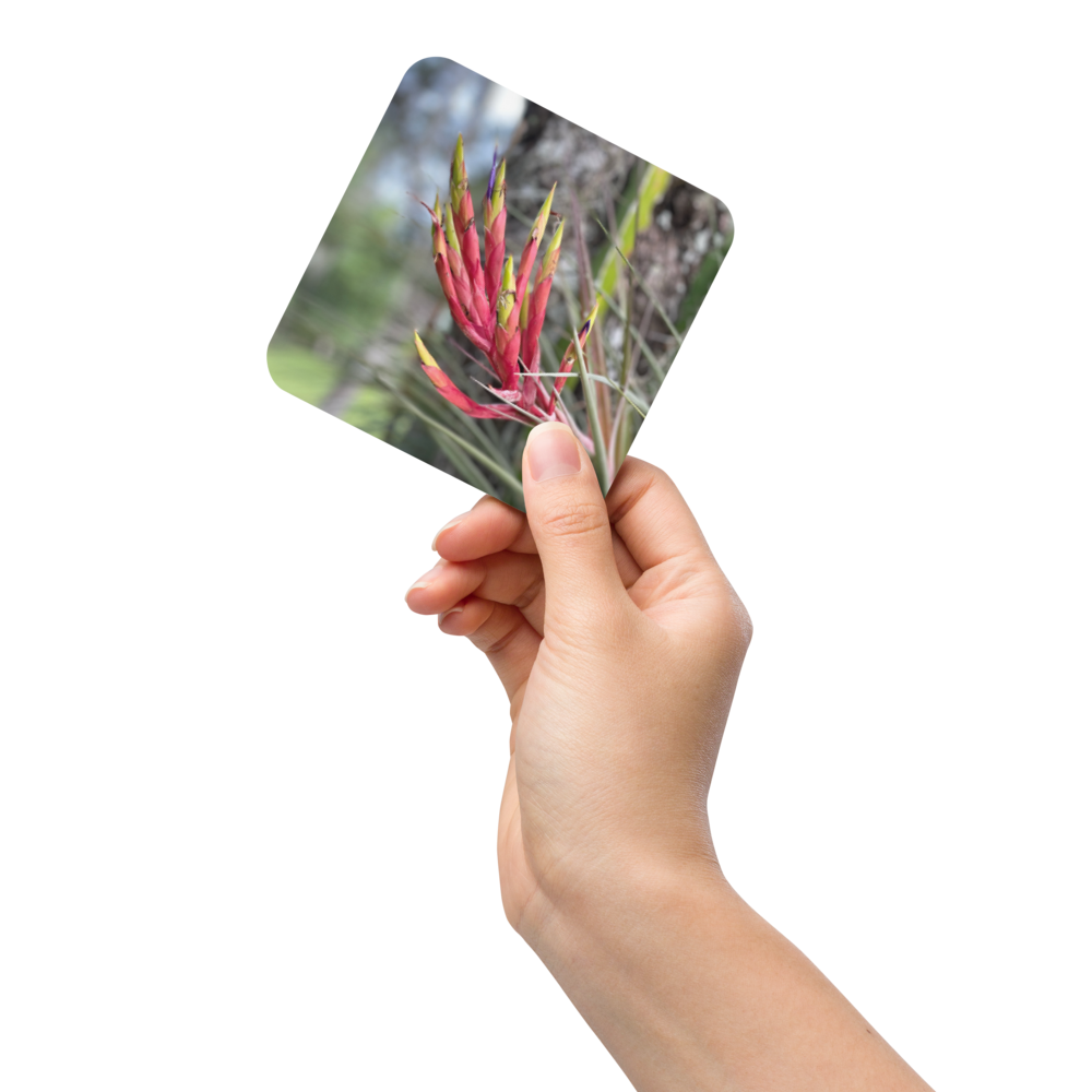 Cork-back coaster - Cardinal Airplant