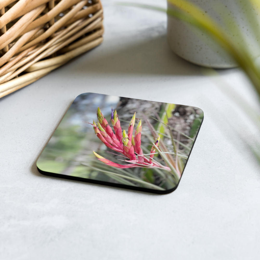 Cork-back coaster - Cardinal Airplant