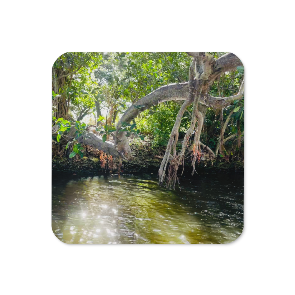 Cork-back coaster - Mangrove and Glimmering Sunset
