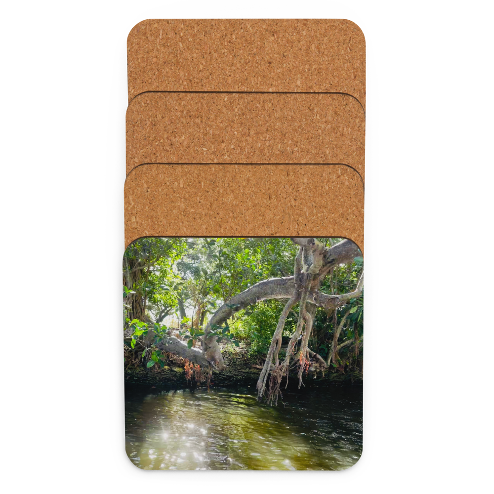 Cork-back coaster - Mangrove and Glimmering Sunset