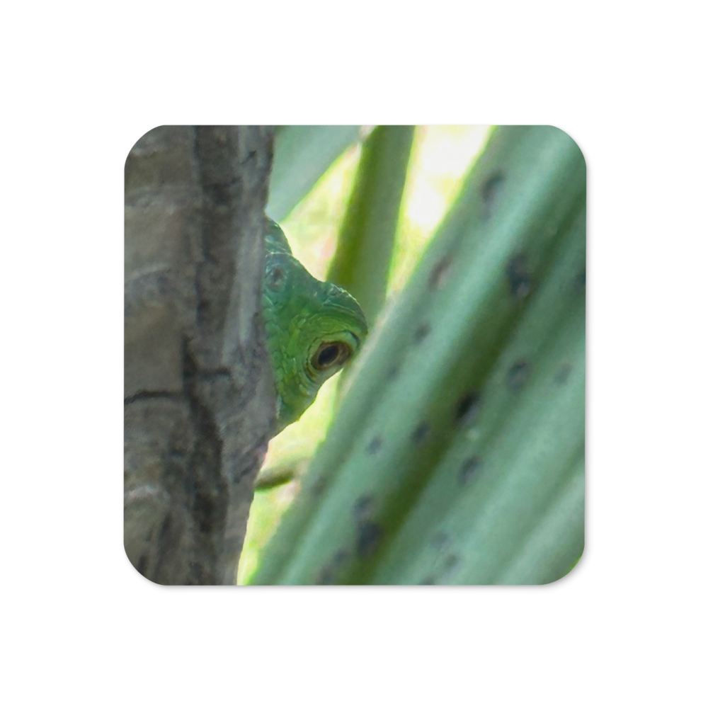 Cork-back coaster - Iguana Spying