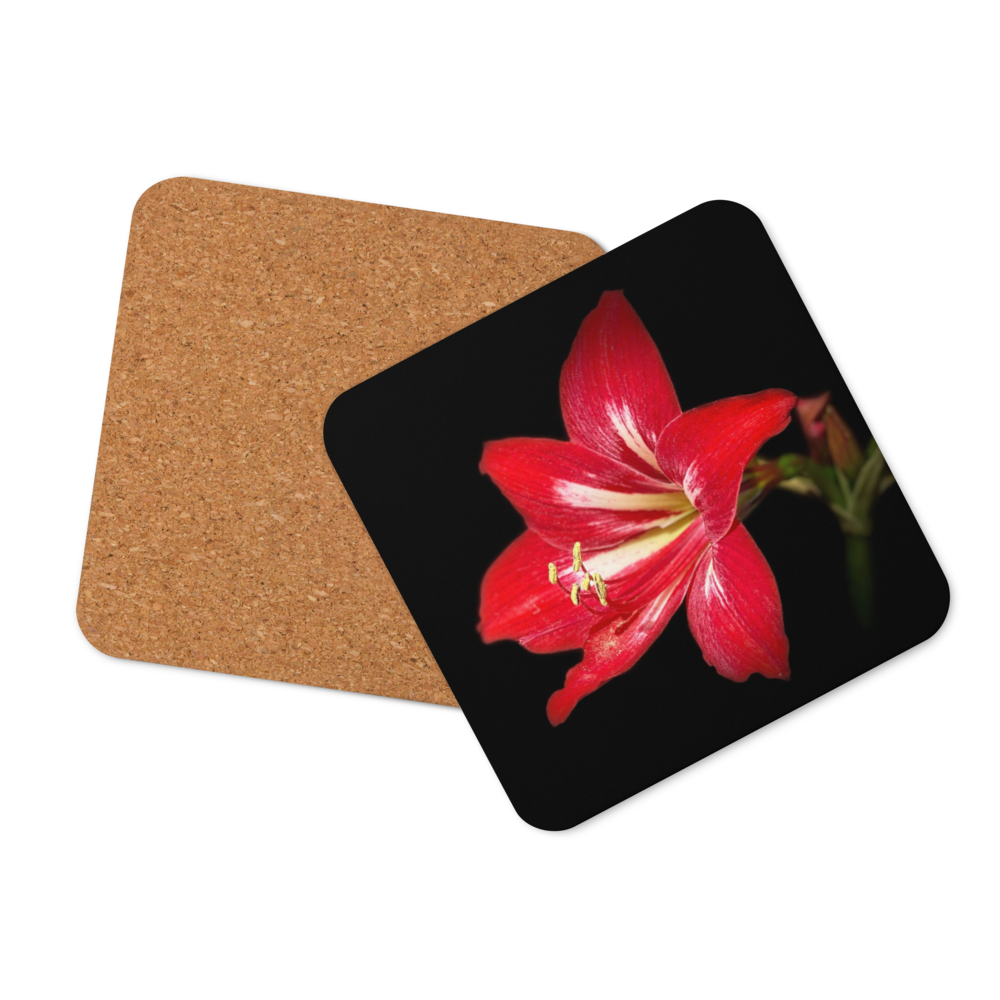 Cork-back coaster - Amaryllis in the Front Yard