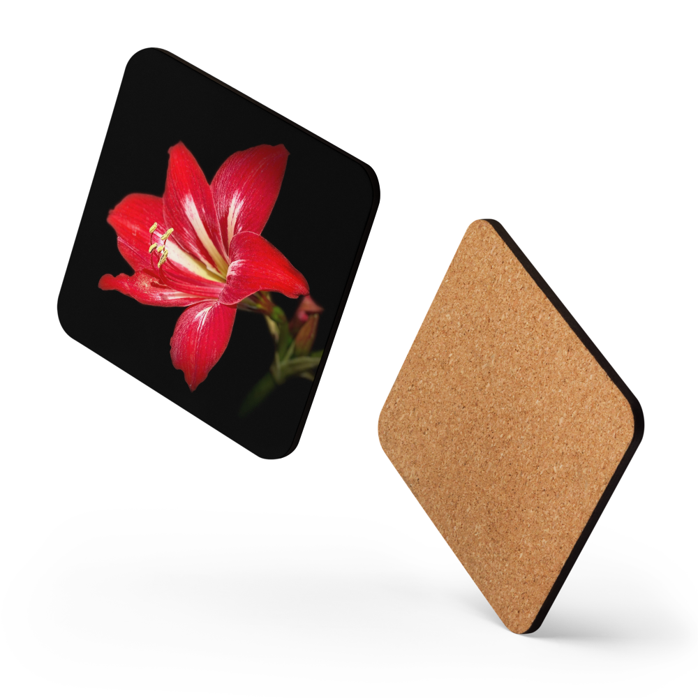 Cork-back coaster - Amaryllis in the Front Yard