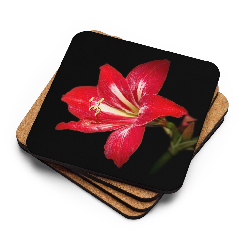 Cork-back coaster - Amaryllis in the Front Yard