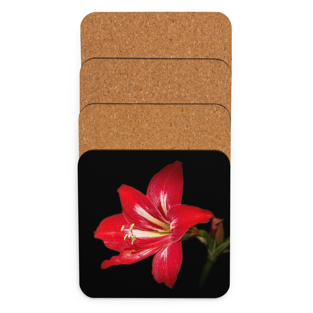 Cork-back coaster - Amaryllis in the Front Yard