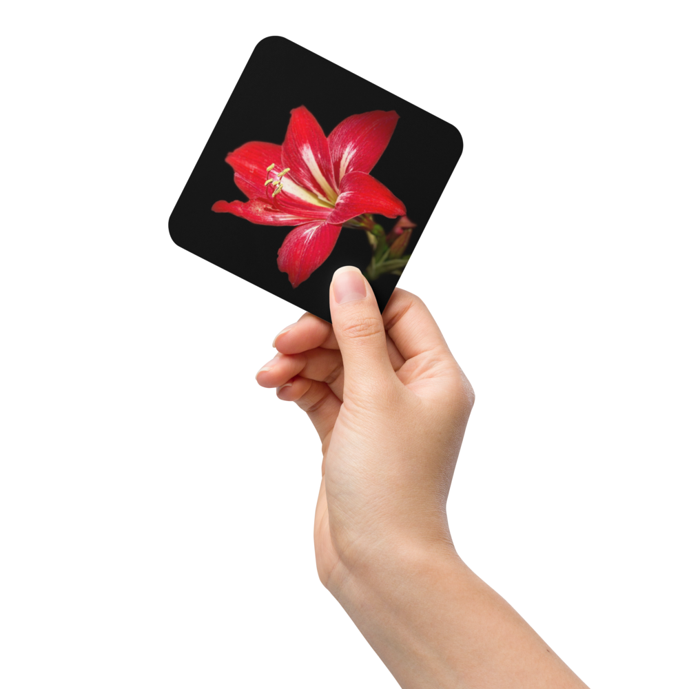 Cork-back coaster - Amaryllis in the Front Yard