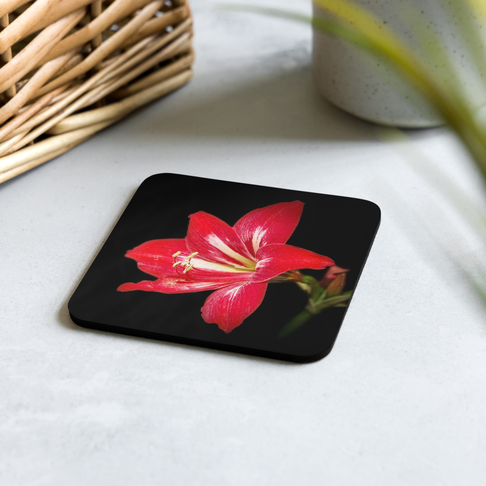 Cork-back coaster - Amaryllis in the Front Yard