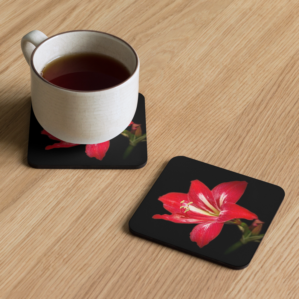 Cork-back coaster - Amaryllis in the Front Yard